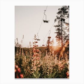 Ski Lift Over Wildflowers Canvas Print