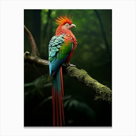 Perched Paradise: Quetzal Jungle Bird Art Canvas Print