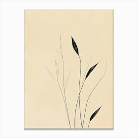 Asian Grasses Canvas Print