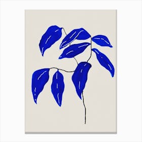Ficus Blue Canvas Print