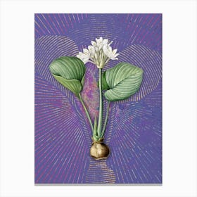 Vintage Cardwell Lily Botanical Illustration on Veri Peri n.0839 Canvas Print