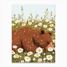Brown Bear Resting In A Field Of Daisies Storybook 4 Canvas Print
