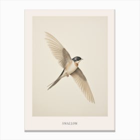 Vintage Bird Drawing Swallow 1 Poster Canvas Print