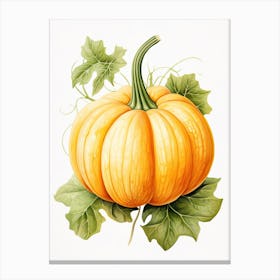 Carnival Squash Pumpkin Watercolour Illustration 3 Canvas Print