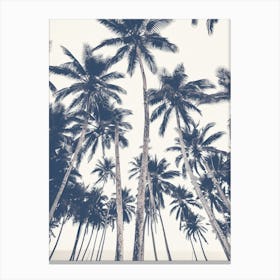 Palm Trees Canvas Print