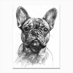 French Bulldog Dog Line Sketch Canvas Print