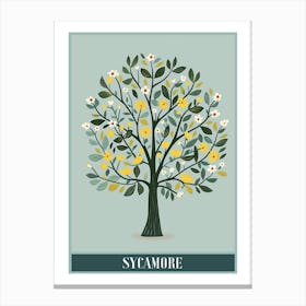 Sycamore Tree Flat Illustration 3 Poster Canvas Print