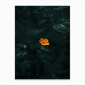 Single Flower In Water 3 Canvas Print