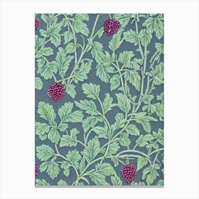 Black Raspberry 1 Vintage Botanical Fruit Canvas Print