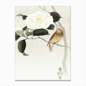 Songbird And Flowering Camellia (1900 1910), Ohara Koson Canvas Print