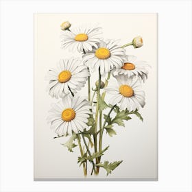 Daisies Flower Vintage Botanical 3 Canvas Print