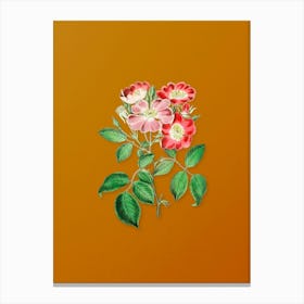 Vintage Rose Clare Flower Botanical on Sunset Orange n.0676 Canvas Print