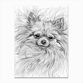 Pomeranian Line Sketch 2 Canvas Print