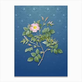 Vintage Malmedy Rose Botanical on Bahama Blue Pattern n.2416 Canvas Print