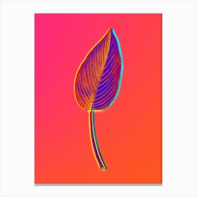 Neon Powdery Alligator Flag Botanical in Hot Pink and Electric Blue n.0347 Canvas Print