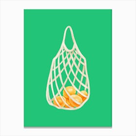 Shopping Bag Canvas Print