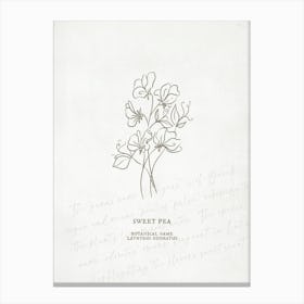 Sweet Pea Birth Flower | Antique Canvas Print