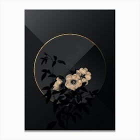 Shadowy Vintage White Rose of Snow Botanical in Black and Gold Canvas Print