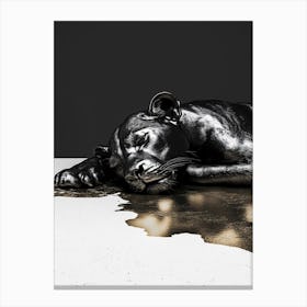 'Sleeping Lion' Canvas Print