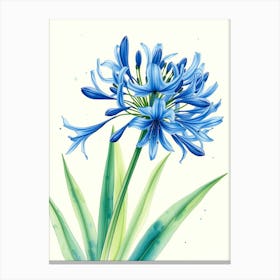 Blue Lily Canvas Print