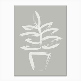 Plant Canvas Print