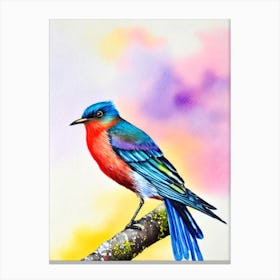 Cuckoo 2 Watercolour Bird Canvas Print