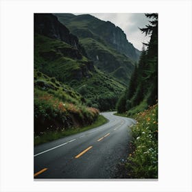 Road In The Mountains 1 Canvas Print