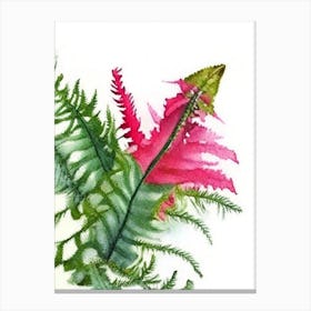 Christmas Fern Wildflower Watercolour 1 Canvas Print