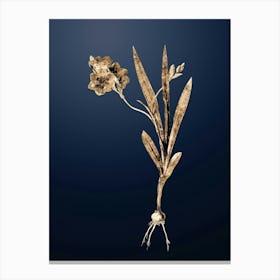 Gold Botanical Ixia Miniata on Midnight Navy n.3905 Canvas Print