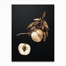 Gold Botanical Yellow Apricot on Wrought Iron Black n.4691 Canvas Print