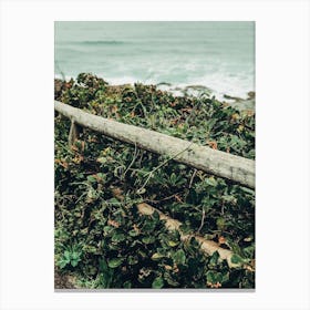 Edeline Canvas Print