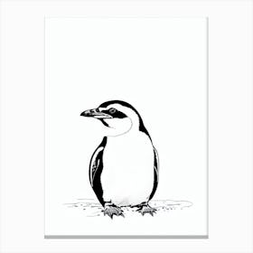 Galapagos Penguin Black & White Drawing Canvas Print