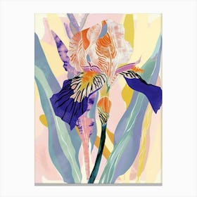 Colourful Flower Illustration Iris 2 Canvas Print