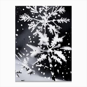 Nature, Snowflakes, Black & White 5 Canvas Print