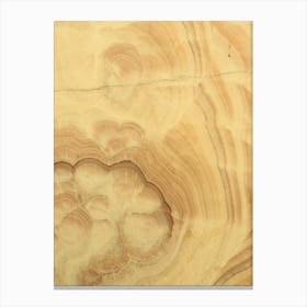 Sandstone Canvas Print