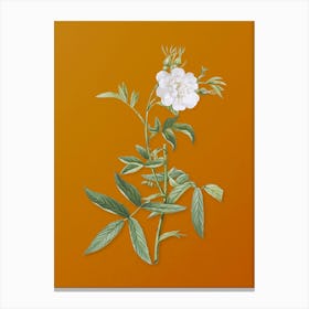 Vintage White Rose of York Botanical on Sunset Orange n.0971 Canvas Print