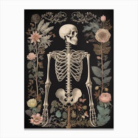 Botanical Skeleton Vintage Flowers Painting (87) Canvas Print