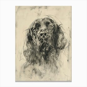 Sussex Spaniel Dog Charcoal Line 2 Canvas Print