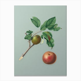Vintage Apple Botanical Art on Mint Green n.0125 Canvas Print