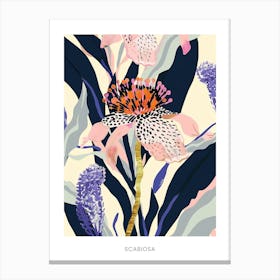 Colourful Flower Illustration Poster Scabiosa 3 Canvas Print