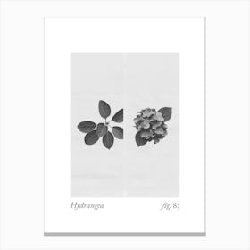 Hydrangea Botanical Collage 1 Canvas Print