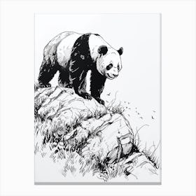 Giant Panda Walking On A Mountain Ink Illustration 1 Canvas Print