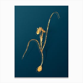Vintage Barbary Nut Botanical in Gold on Teal Blue Canvas Print