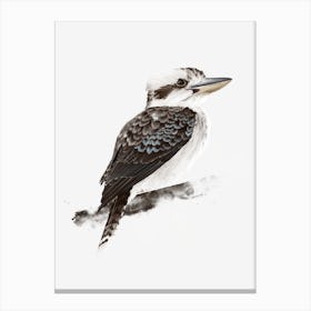 Kookaburra 1 Canvas Print