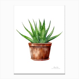 Aloe vera plant. Green plant. Beautiful plant. Thorns plant. Aloe vera flowers.6 Canvas Print