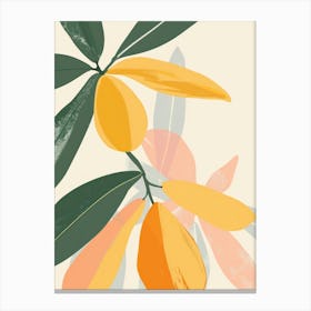 Starfruit Close Up Illustration 2 Canvas Print