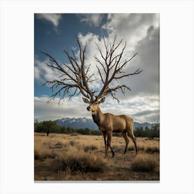 Elk In The Grass Canvas Print