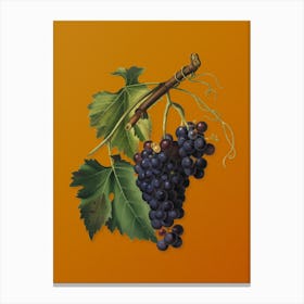 Vintage Black Grape Botanical on Sunset Orange n.0666 Canvas Print