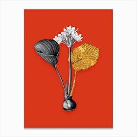 Vintage Cardwell Lily Black and White Gold Leaf Floral Art on Tomato Red n.0519 Canvas Print