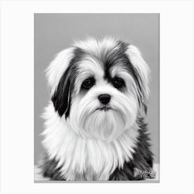 Lhasa Apso B&W Pencil dog Canvas Print